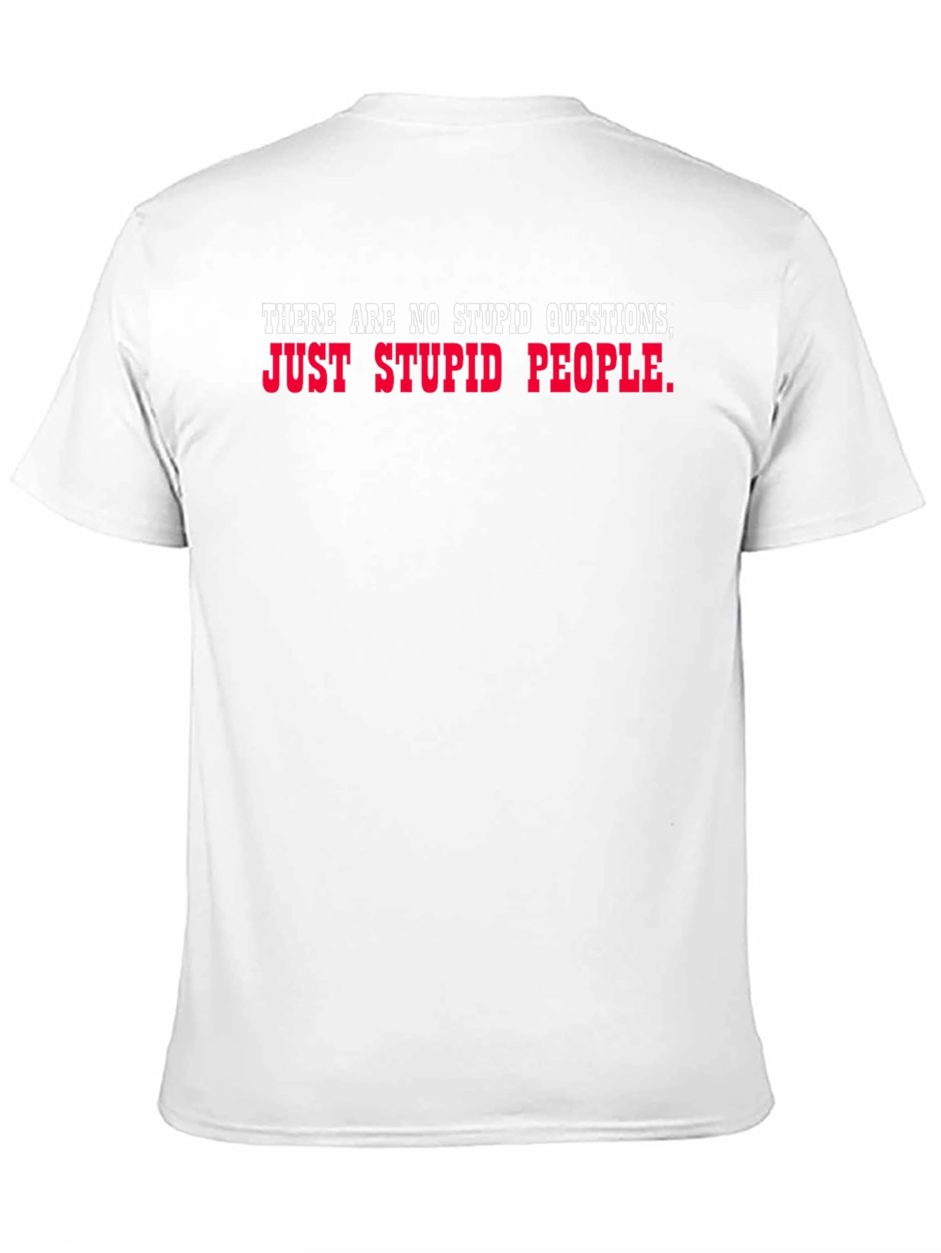 Funny Sarcastic T-Shirt - No Stupid Questions
