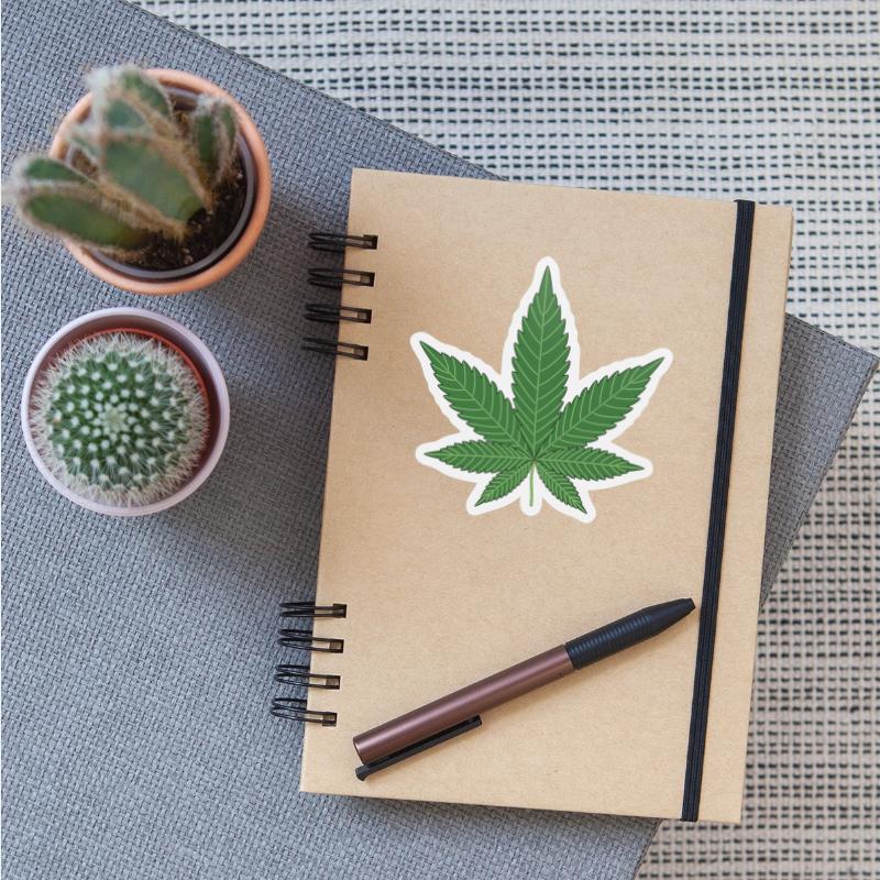 hanf cannabis kiffen marijuana hemp grass gras5