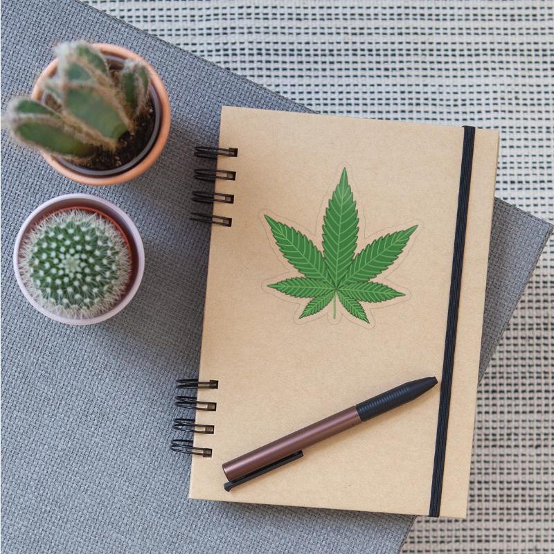 hanf cannabis kiffen marijuana hemp grass gras5
