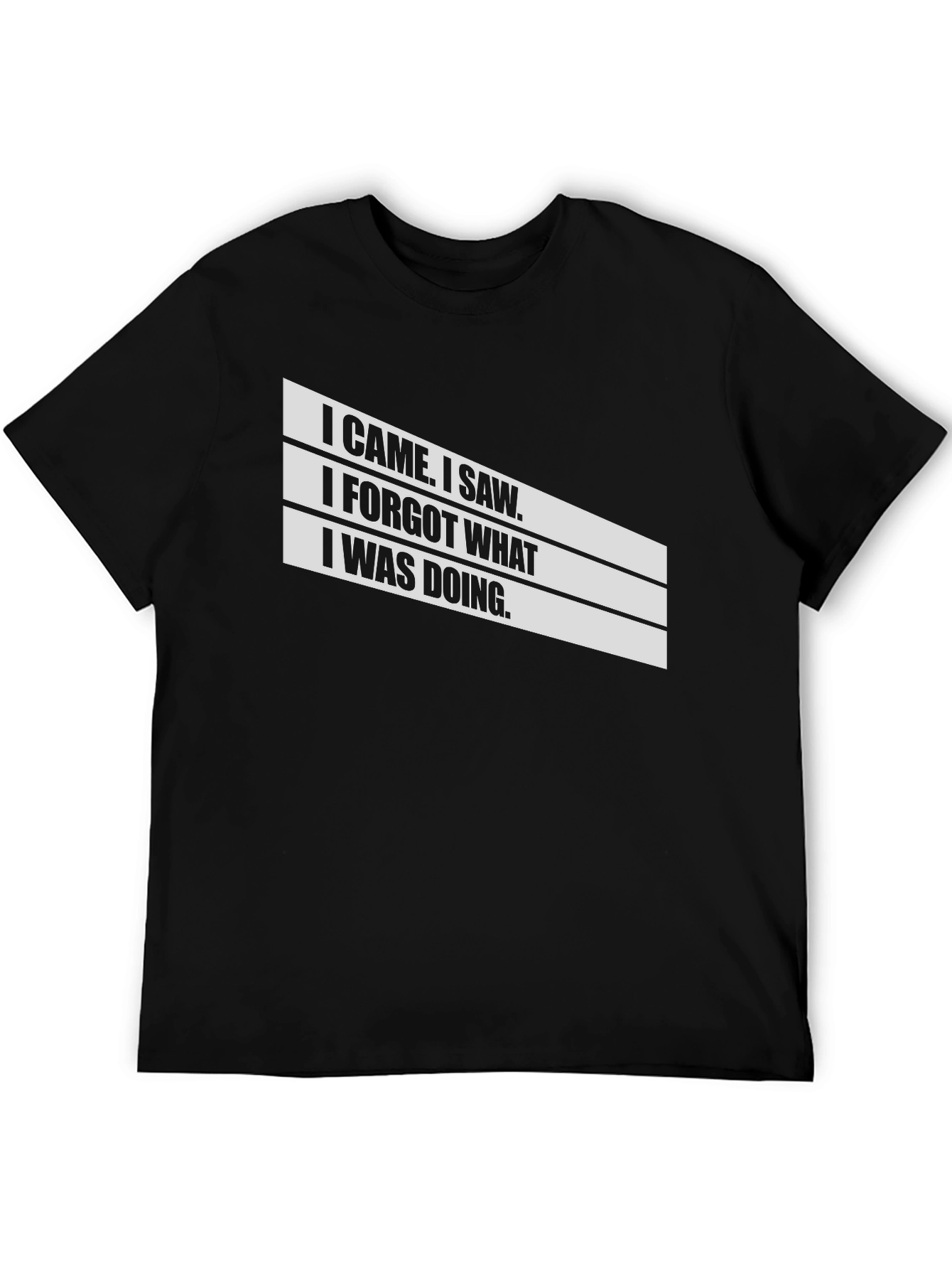 Humorous I Came I Saw Graphic T-Shirt