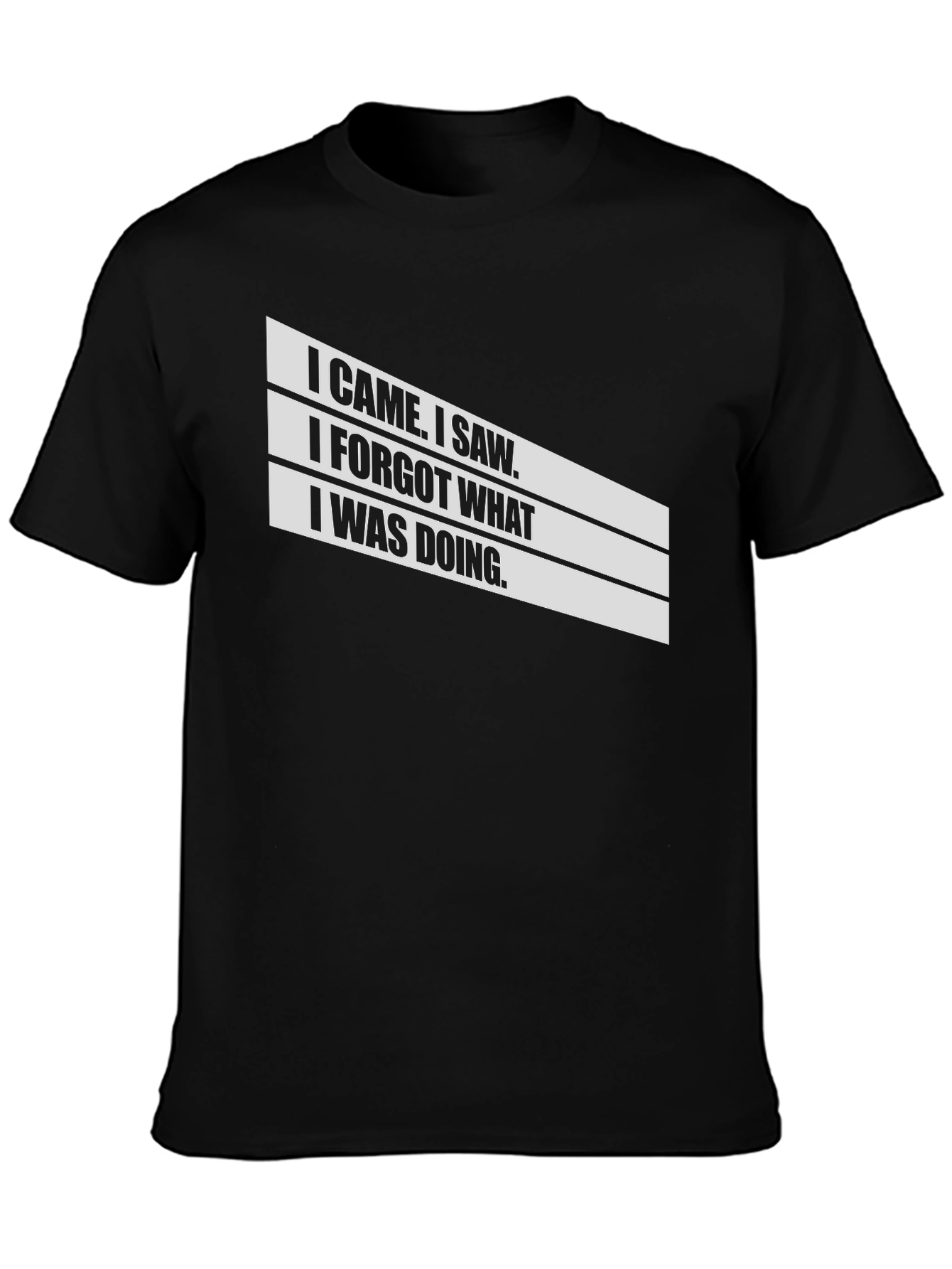 Humorous I Came I Saw Graphic T-Shirt