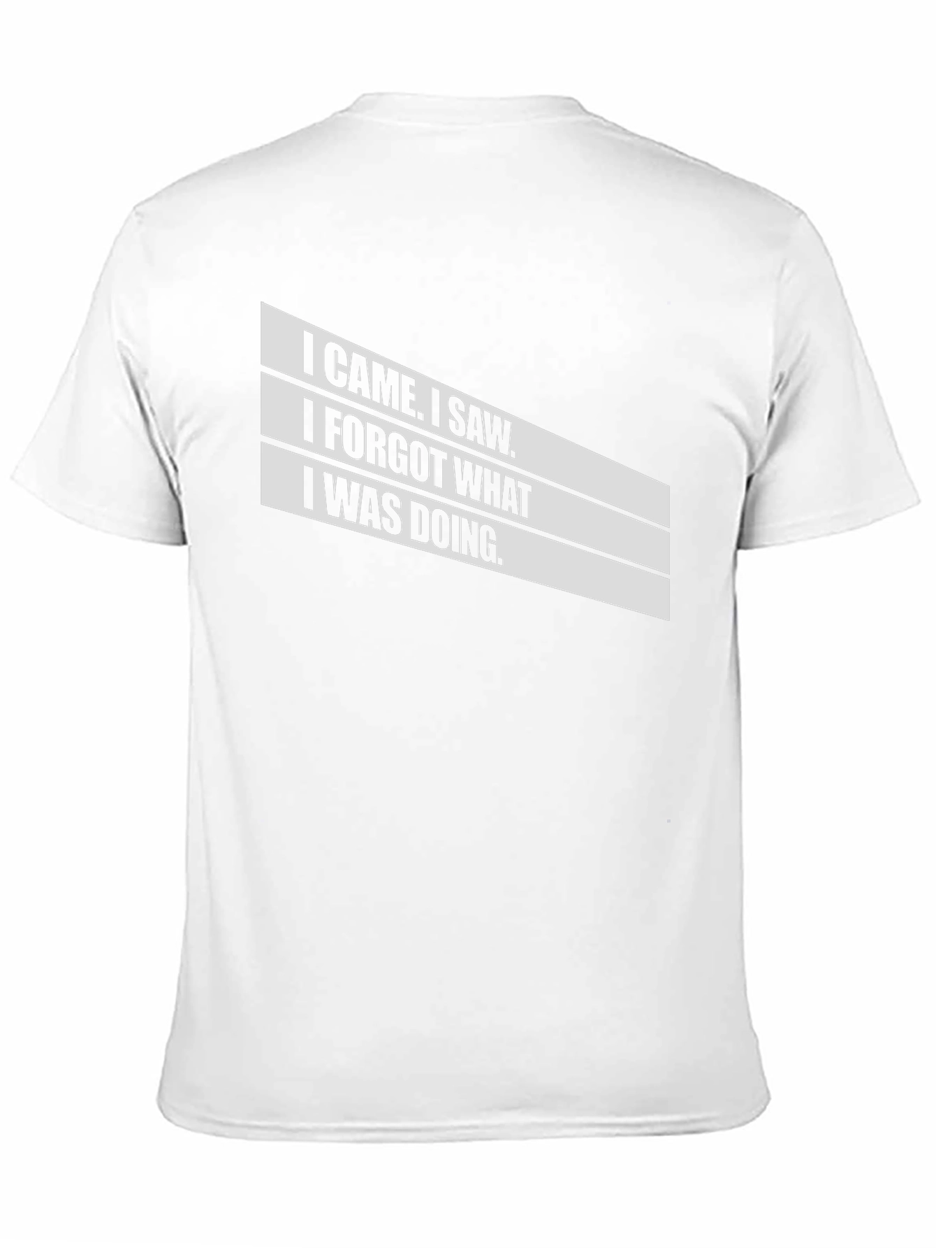 Humorous I Came I Saw Graphic T-Shirt