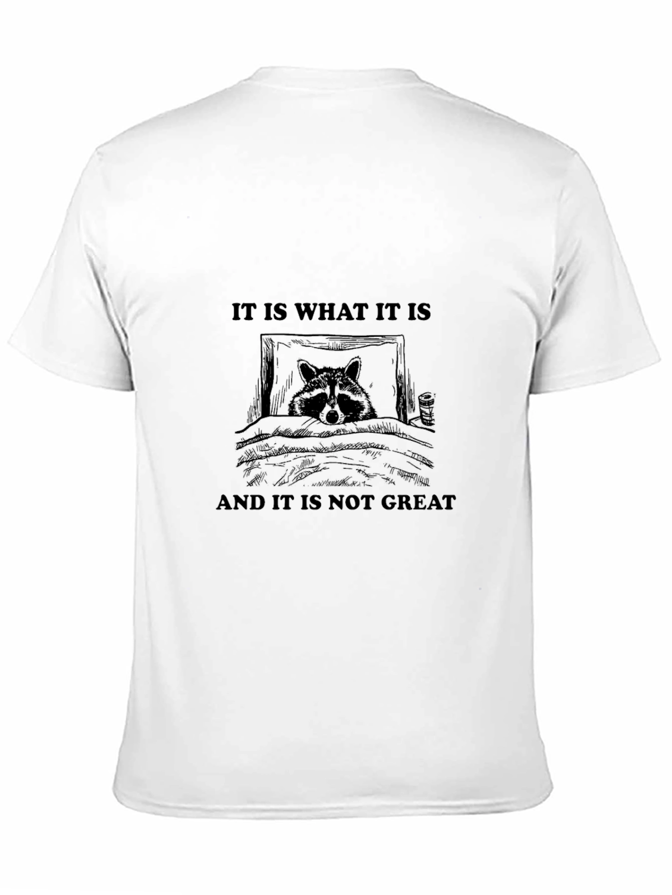 Raccoon It Is What It Is Graphic Tee