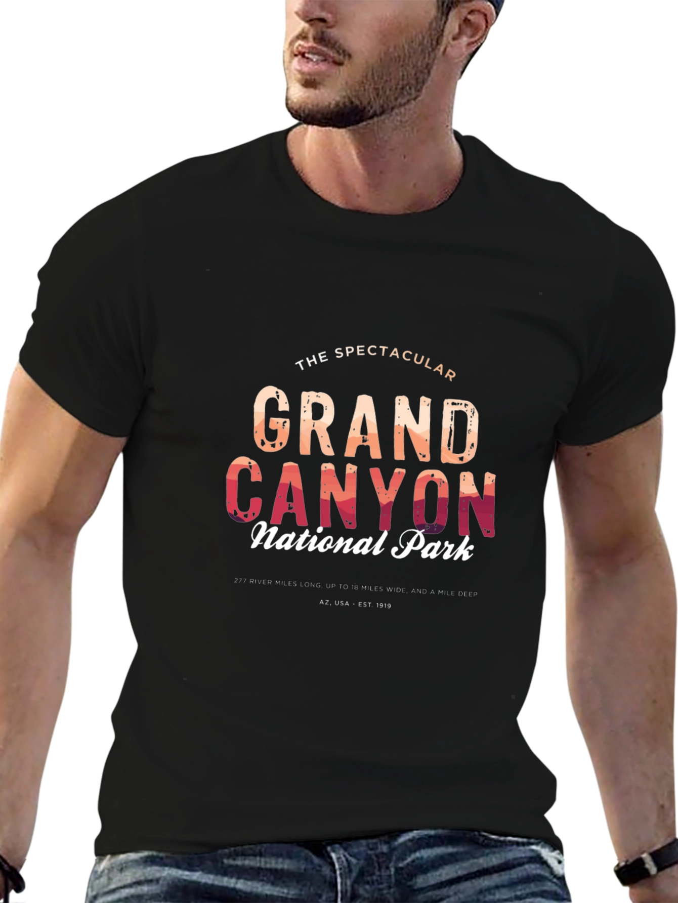 Grand Canyon National Park Black T-Shirt