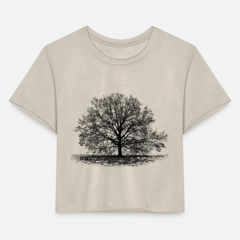 Old tree in black