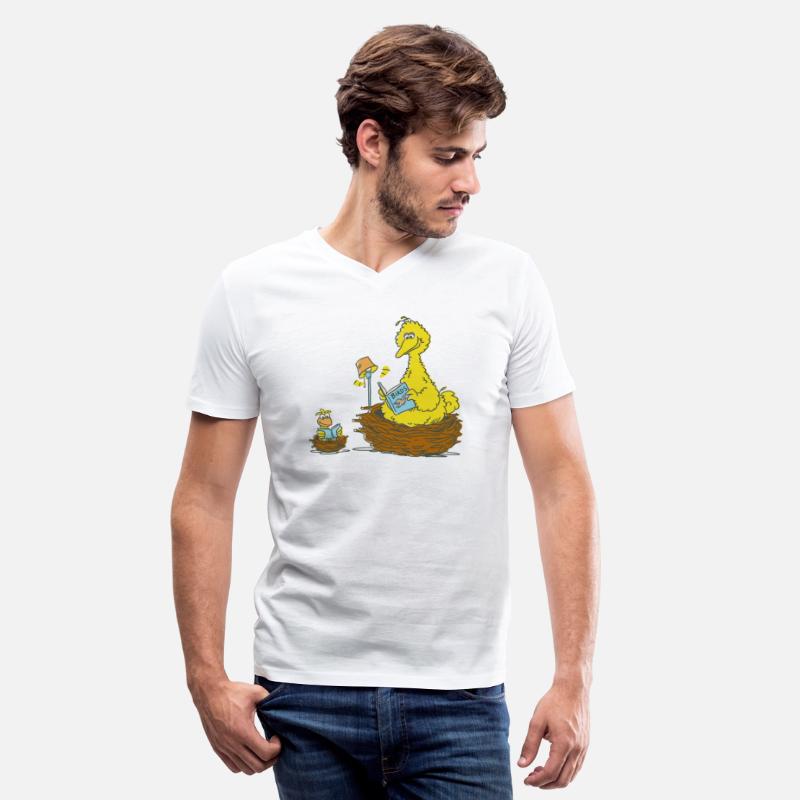 Sesame Street Big Bird And Little Bird Reading
