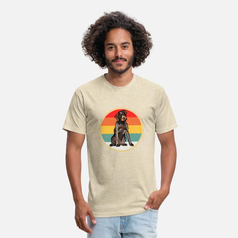 Sunset German Wirehaired Pointer Dog