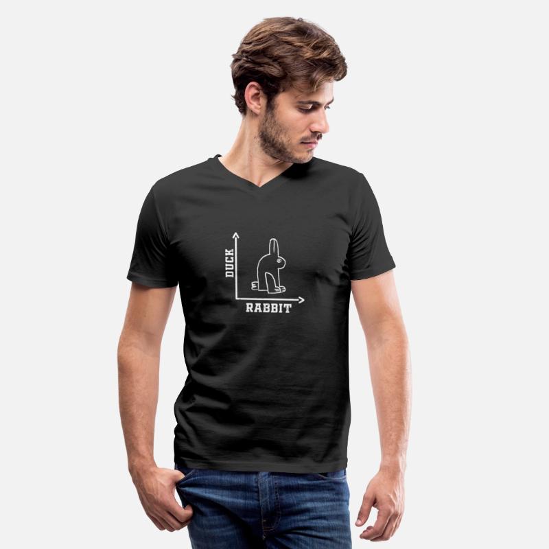 Wittgensteins Rabbit Duck Illusion